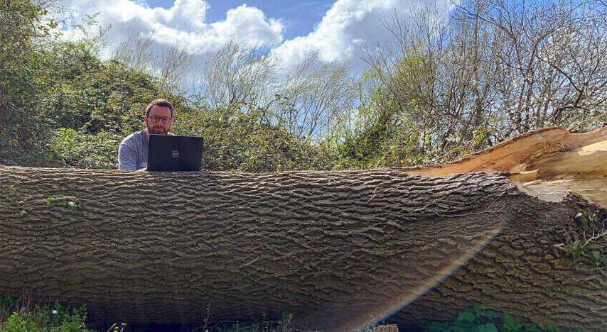 A man working with a laptop on a fallen tree stump